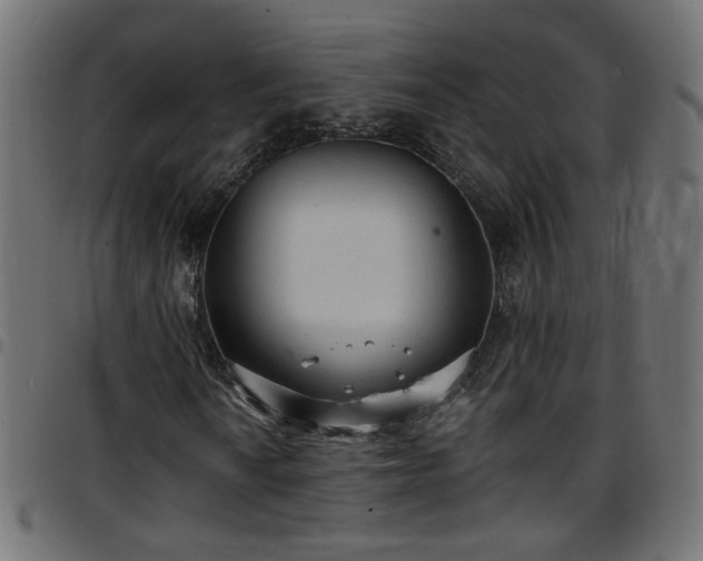 X0000097591010200803071316