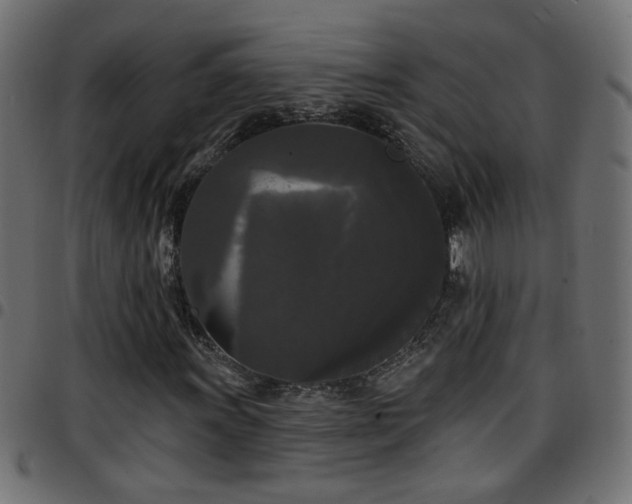 X0000097591011200803071316