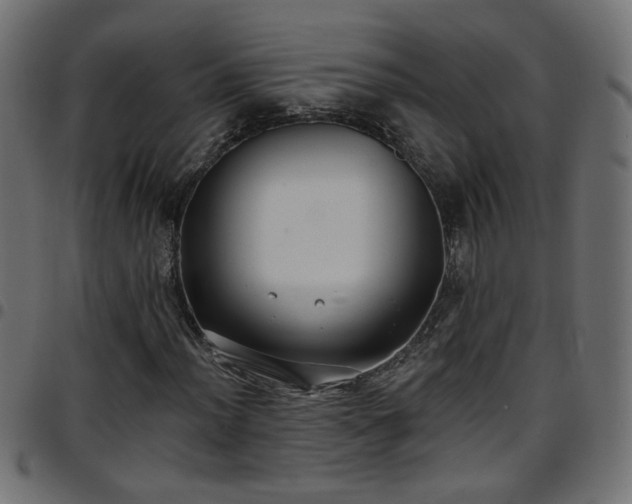 X0000097591012200803071316