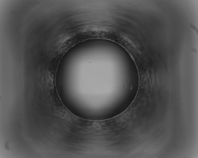 X0000097591013200803071316