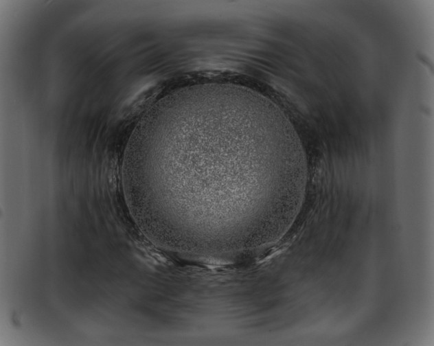 X0000097591014200803071316