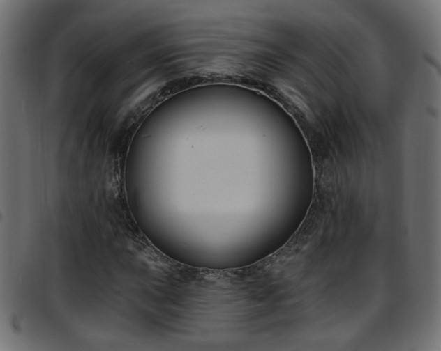 X0000097591015200803071316