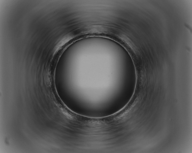 X0000097591018200803071316