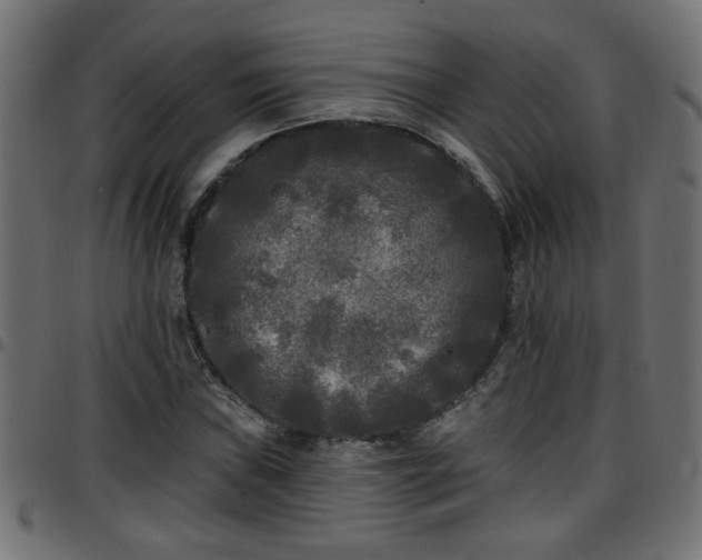 X0000097591019200803071316