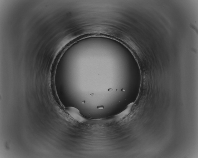 X0000097591020200803071316