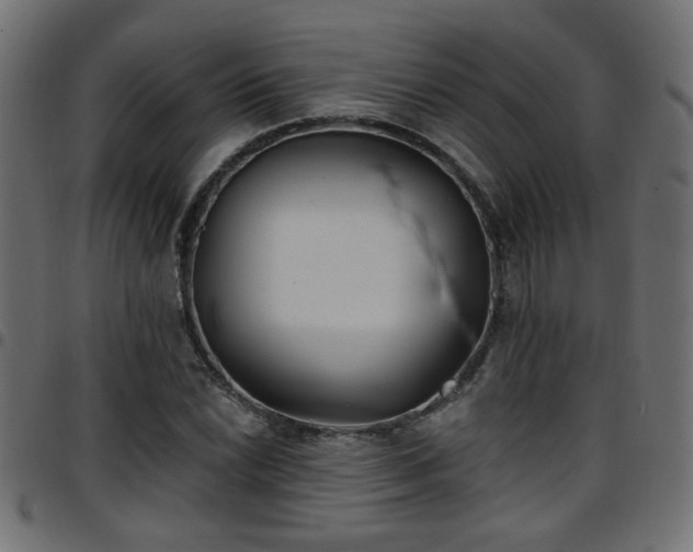 X0000097591022200803071316