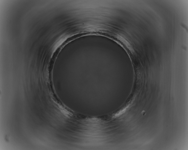 X0000097591023200803071316