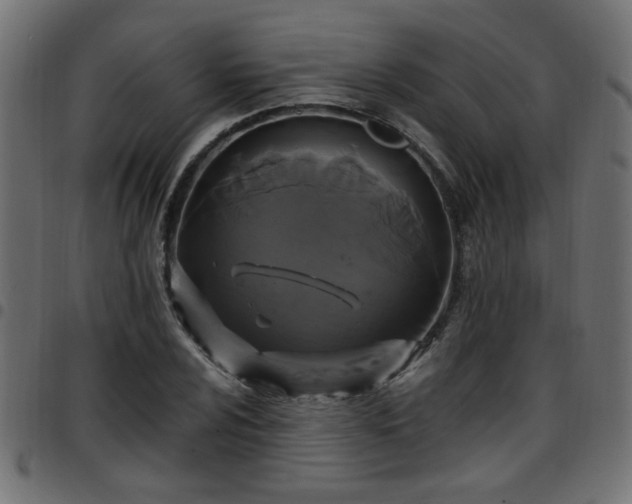 X0000097591024200803071316