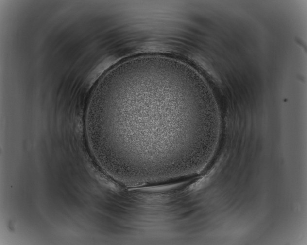 X0000097591025200803071316