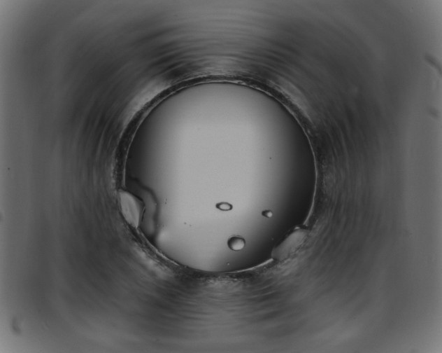 X0000097591026200803071316