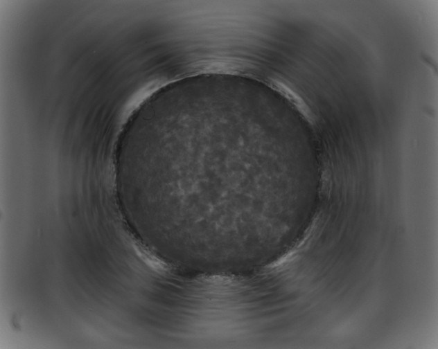 X0000097591027200803071316