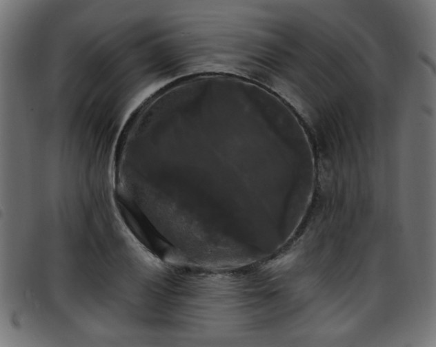 X0000097591028200803071316