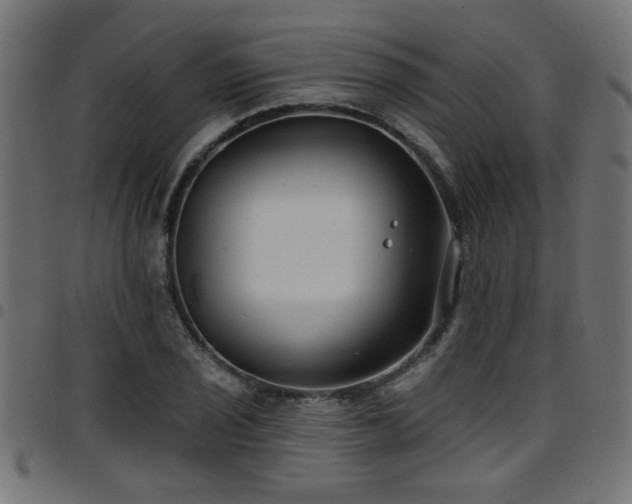 X0000097591029200803071316