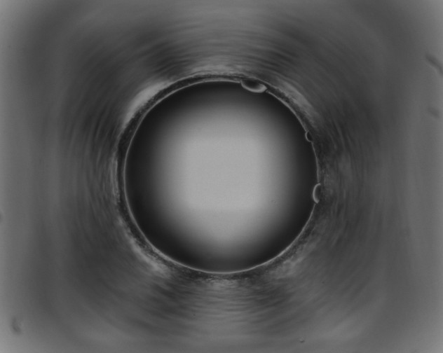 X0000097591030200803071316