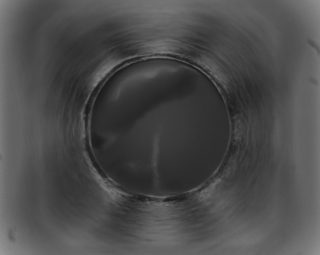 X0000097591031200803071316