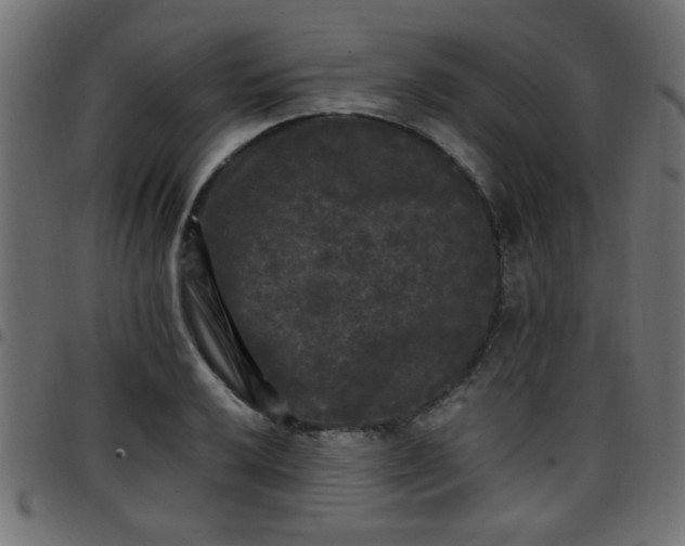 X0000097591032200803071316