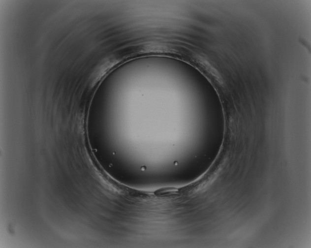 X0000097591033200803071316