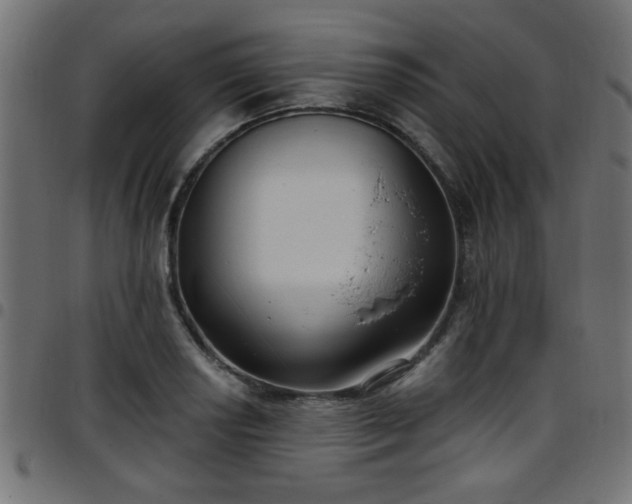 X0000097591034200803071316