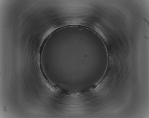 X0000097591035200803071316