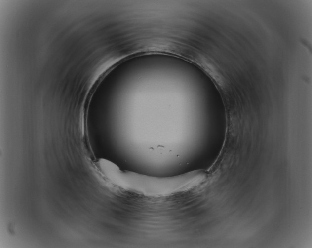 X0000097591036200803071316