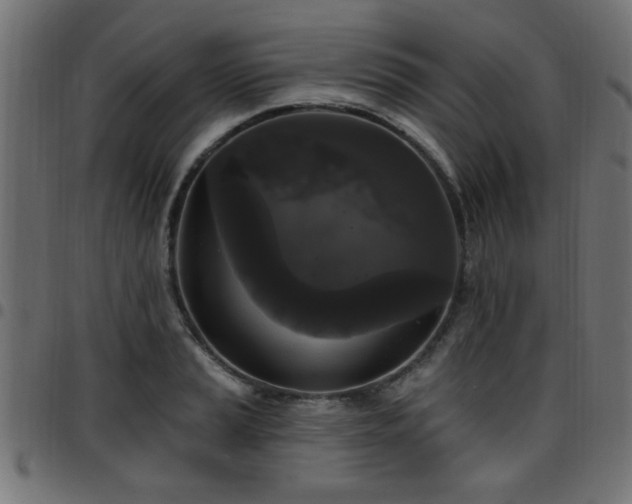 X0000097591037200803071316