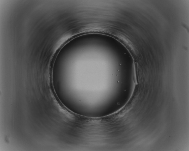 X0000097591038200803071316