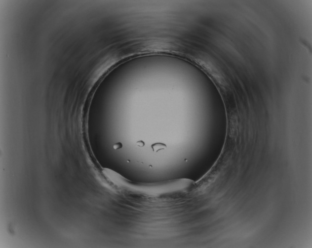 X0000097591039200803071316