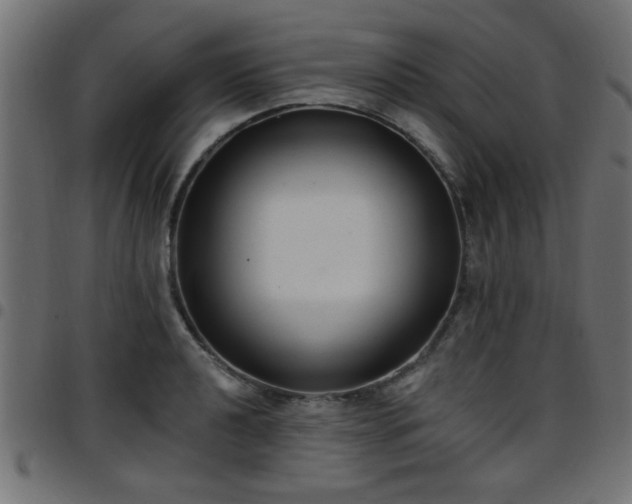 X0000097591040200803071316