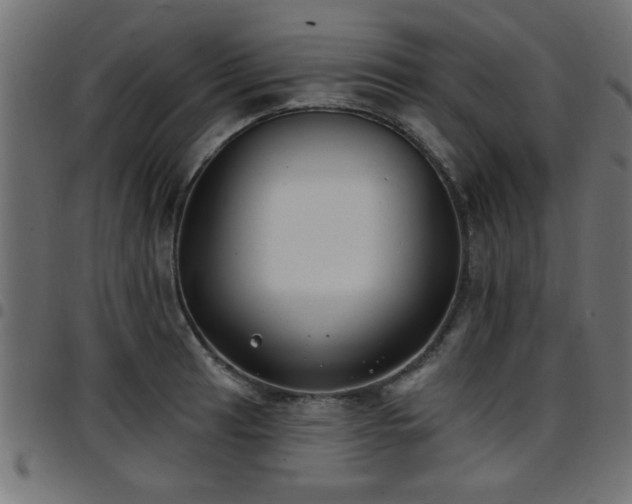 X0000097591041200803071316