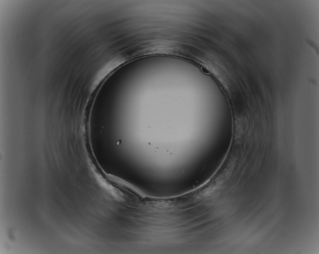 X0000097591042200803071316