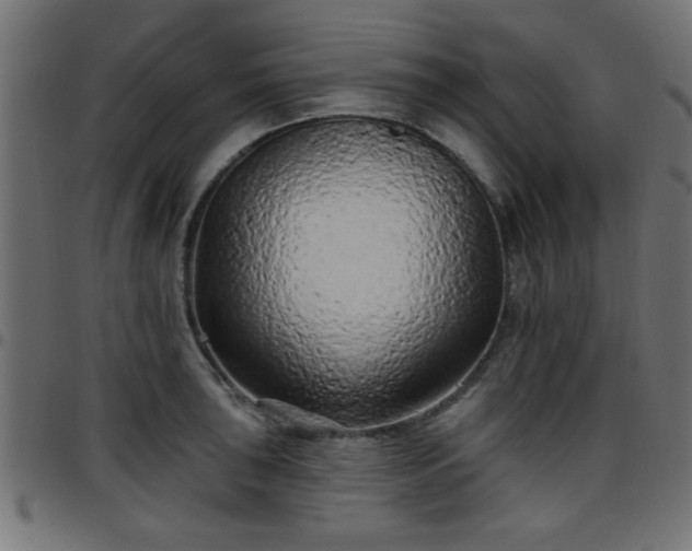 X0000097591043200803071316