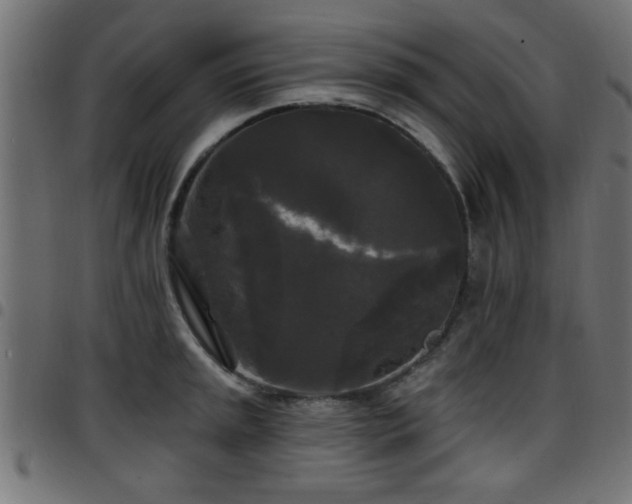 X0000097591045200803071316