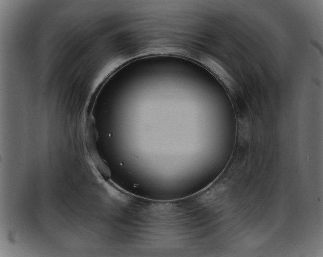 X0000097591046200803071316