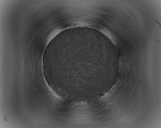 X0000097591047200803071316