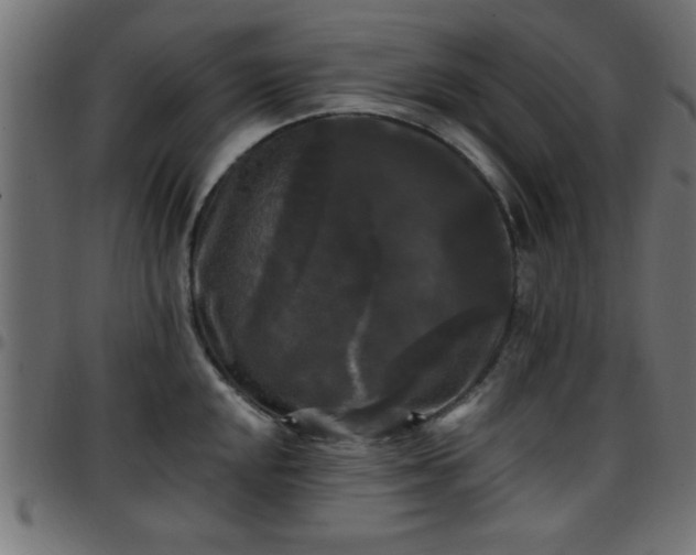 X0000097591048200803071316