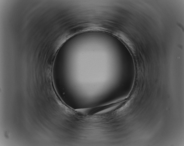 X0000097591049200803071316