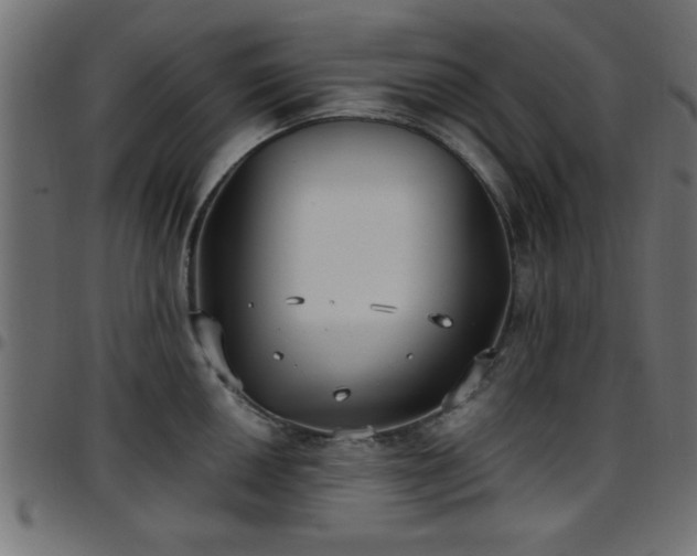 X0000097591050200803071316