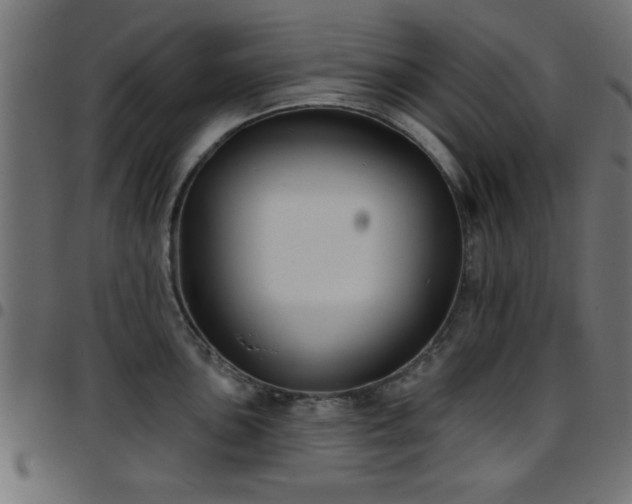 X0000097591051200803071316