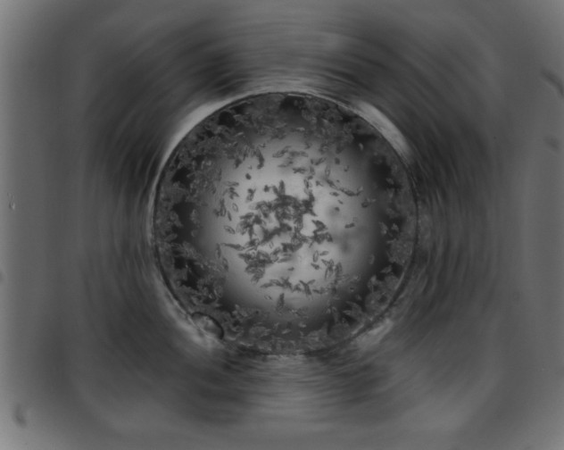 X0000097591052200803071316