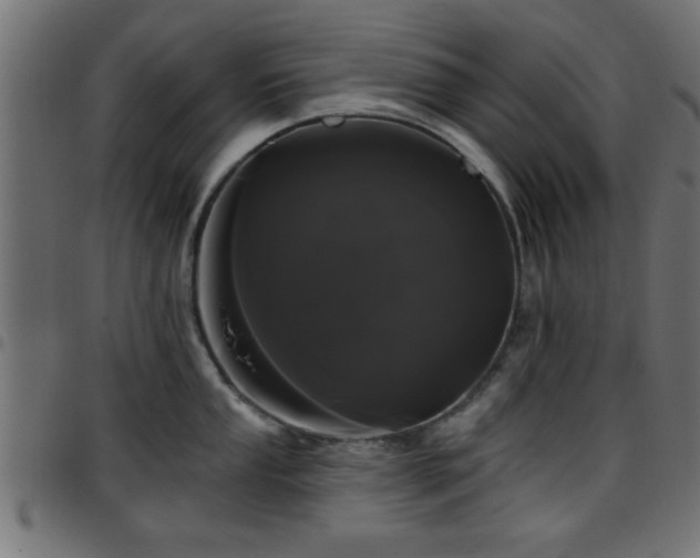 X0000097591053200803071316