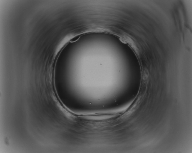 X0000097591054200803071316