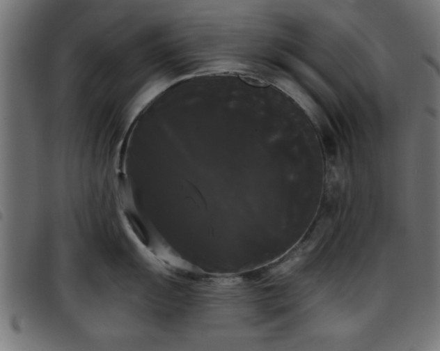 X0000097591055200803071316