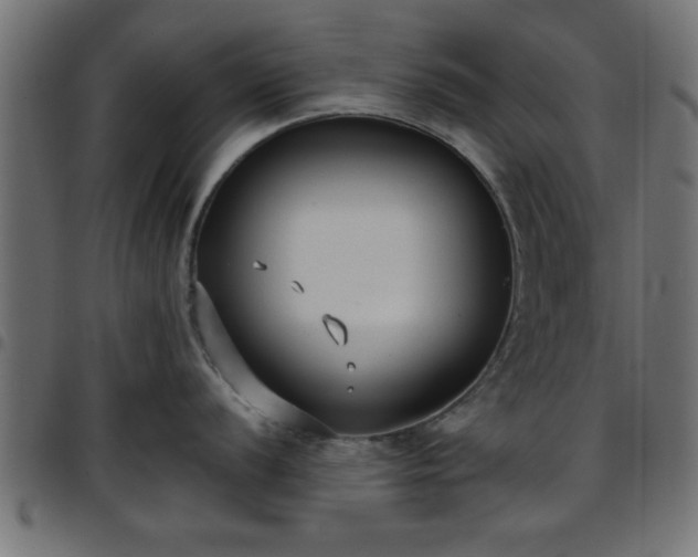 X0000097591056200803071316