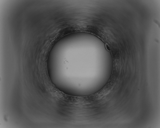 X0000097591057200803071316