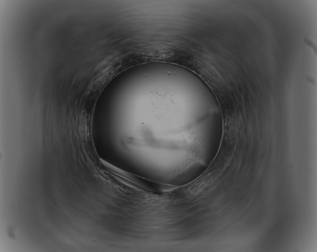 X0000097591058200803071316