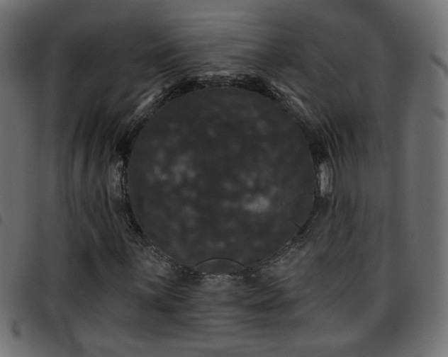 X0000097591059200803071316