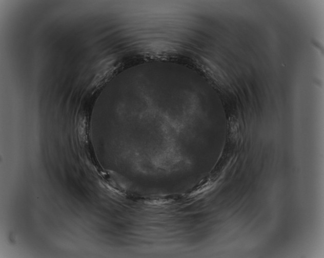 X0000097591060200803071316