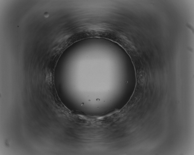 X0000097591061200803071316