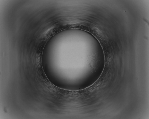 X0000097591062200803071316