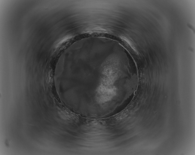 X0000097591063200803071316